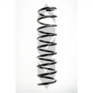 2x Spidan Fahrwerksfeder 49758 Hinterachse BMW 5er E39 2x Spidan Fahrwerksfeder 49758 Hinterachse BMW 5er E39