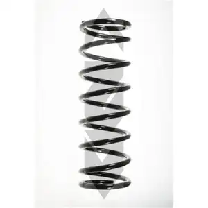 2x Spidan Fahrwerksfeder 55329 Hinterachse Ford Focus