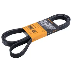 CONTINENTAL CTAM 6PK2175 Keilrippenriemen CONTINENTAL CTAM 6PK2175 Keilrippenriemen