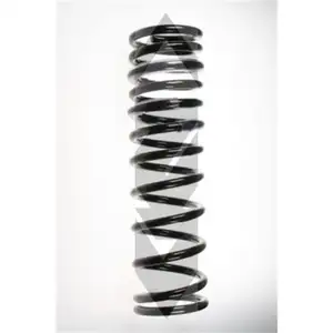 Fahrwerksfeder Spidan 55361 f&uuml;r Ford Hinterachse