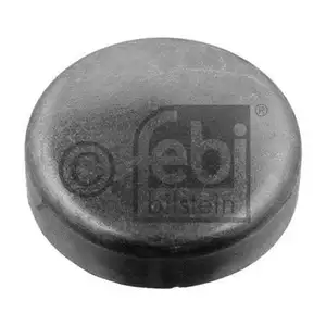 FEBI BILSTEIN 07295 Verschlussstopfen f&uuml;r DAF, BMW