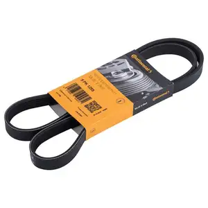 CONTINENTAL CTAM 5PK1255 Keilrippenriemen CONTINENTAL CTAM 5PK1255 Keilrippenriemen