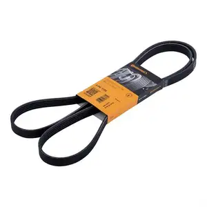 CONTINENTAL CTAM 5PK1750 Keilrippenriemen CONTINENTAL CTAM 5PK1750 Keilrippenriemen