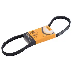 CONTINENTAL CTAM 5PK925 Keilrippenriemen