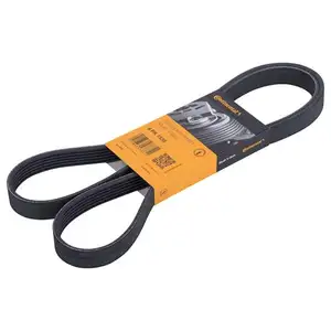 2x CONTI Keilrippenriemen + FEBI Spanner + Rollen Satz BMW 3er 5er 2x CONTI Keilrippenriemen + FEBI Spanner + Rollen Satz BMW 3er 5er