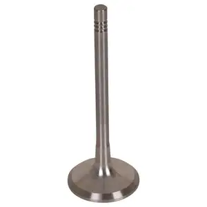 FEBI BILSTEIN 28464 Auslassventil f&uuml;r SKODA, AUDI, VW, SEAT