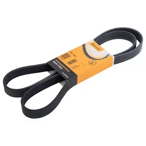 CONTINENTAL CTAM 7PK1635 Keilrippenriemen CONTINENTAL CTAM 7PK1635 Keilrippenriemen