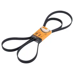 CONTINENTAL CTAM 6PK2490 Keilrippenriemen CONTINENTAL CTAM 6PK2490 Keilrippenriemen