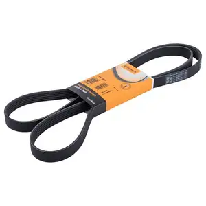 CONTINENTAL CTAM 6PK1815 Keilrippenriemen CONTINENTAL CTAM 6PK1815 Keilrippenriemen