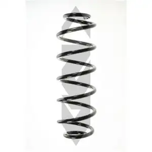 2x Spidan Fahrwerksfeder Hinterachse 56057 Citroen C4 Peugeot 307 2x Spidan Fahrwerksfeder Hinterachse 56057 Citroen C4 Peugeot 307