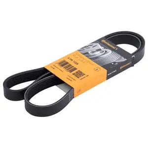 CONTINENTAL CTAM 6PK1225 Keilrippenriemen