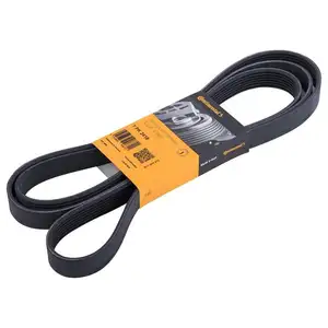 CONTINENTAL CTAM 7PK2418 Keilrippenriemen CONTINENTAL CTAM 7PK2418 Keilrippenriemen