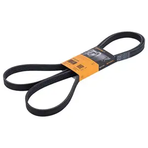 CONTINENTAL CTAM 6PK2120 Keilrippenriemen CONTINENTAL CTAM 6PK2120 Keilrippenriemen