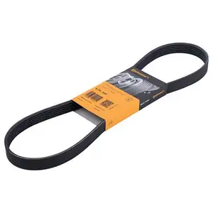CONTINENTAL CTAM 6PK955 Keilrippenriemen