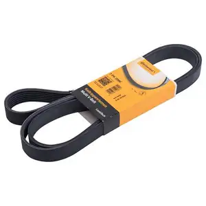 CONTINENTAL CTAM 7PK2000 Keilrippenriemen CONTINENTAL CTAM 7PK2000 Keilrippenriemen