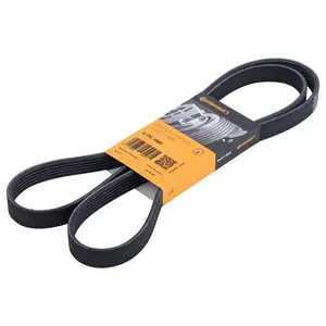 CONTINENTAL CTAM 6PK1600 Keilrippenriemen