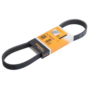 CONTINENTAL CTAM 6PK799 ELAST Keilrippenriemen