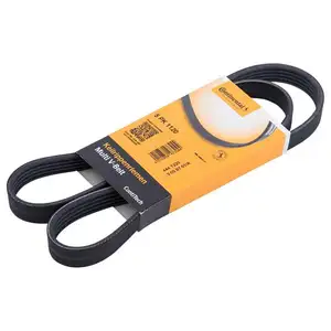 CONTINENTAL CTAM 5PK1120 Keilrippenriemen