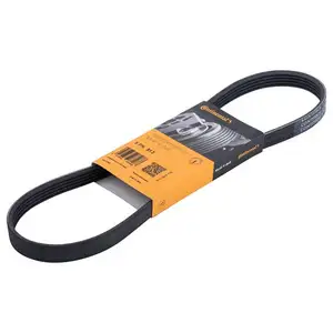 CONTINENTAL CTAM 5PK813 Keilrippenriemen