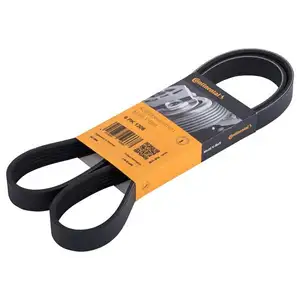 CONTINENTAL CTAM 6PK1306 Keilrippenriemen