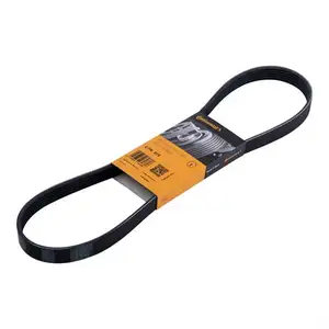 CONTINENTAL CTAM 6PK976 Keilrippenriemen