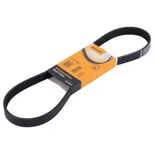 CONTINENTAL CTAM 6PK923 Keilrippenriemen CONTINENTAL CTAM 6PK923 Keilrippenriemen