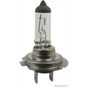 Glühlampe Herth+buss Elparts 89901202 für Daf für Mercedes Benz für Seat für Vag Glühlampe Herth+buss Elparts 89901202 für Daf für Mercedes Benz für Seat für Vag