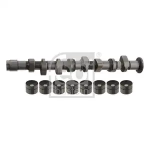 FEBI BILSTEIN 32994 Nockenwellensatz für SEAT, VW FEBI BILSTEIN 32994 Nockenwellensatz für SEAT, VW