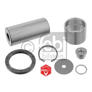 FEBI BILSTEIN 05869 Achsschenkelbolzensatz FEBI BILSTEIN 05869 Achsschenkelbolzensatz