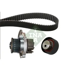 INA 530 0228 30 Wapu + ST Kit INA 530 0228 30 Wapu + ST Kit
