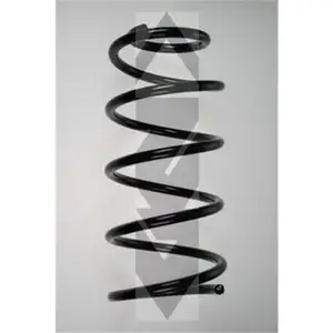 SPIDAN 85897 Fahrwerksfeder SPIDAN 85897 Fahrwerksfeder