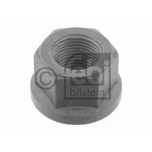 FEBI BILSTEIN 19193 Befestigungsmutter f&uuml;r VOLVO, DAF
