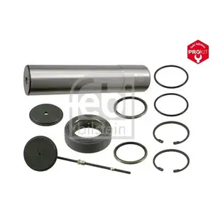 FEBI BILSTEIN 18954 Achsschenkelbolzensatz für MERCEDES-BENZ FEBI BILSTEIN 18954 Achsschenkelbolzensatz für MERCEDES-BENZ