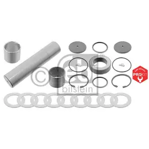 FEBI BILSTEIN 18999 Achsschenkelbolzensatz FEBI BILSTEIN 18999 Achsschenkelbolzensatz