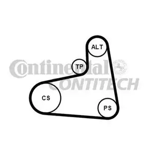 CONTINENTAL CTAM 6PK906K1 Keilrippenriemen Kit CONTINENTAL CTAM 6PK906K1 Keilrippenriemen Kit