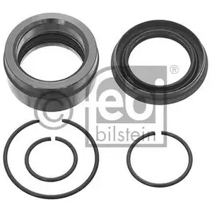 FEBI BILSTEIN 46252 Rep. Satz Kippzylinder FEBI BILSTEIN 46252 Rep. Satz Kippzylinder