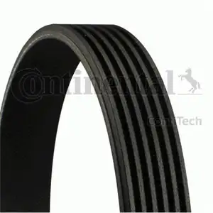 CONTINENTAL CTAM 6PK1240 ELAST Keilrippenriemen