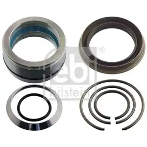FEBI BILSTEIN 101045 Rep. Satz Kippzylinder FEBI BILSTEIN 101045 Rep. Satz Kippzylinder