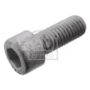 FEBI BILSTEIN 101235 Schraube FEBI BILSTEIN 101235 Schraube