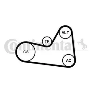 CONTINENTAL CTAM 6PK1026K1 Keilrippenriemen Kit CONTINENTAL CTAM 6PK1026K1 Keilrippenriemen Kit