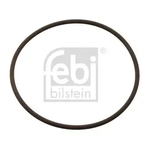 FEBI BILSTEIN 104848 Dichtring f&uuml;r DAF