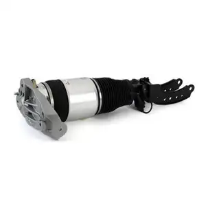 ArnottEurope Air Spring Strut AS-3164