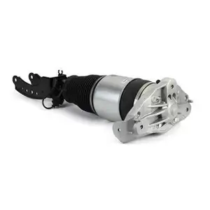 ArnottEurope Air Spring Strut AS-3165 ArnottEurope Air Spring Strut AS-3165