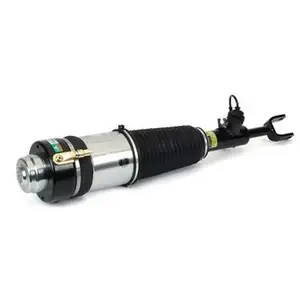 ArnottEurope AS-3363 Air Spring Strut