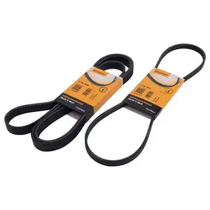 2x CONTI Keilrippenriemen Satz BMW 3er E46 2x CONTI Keilrippenriemen Satz BMW 3er E46