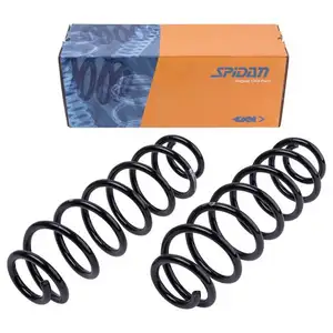 2x Spidan Fahrwerksfeder 56296 Hinterachse Skoda Octavia VW Golf IV Bora