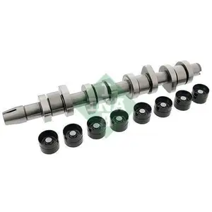 INA 428 0042 30 NockenwelleSet INA 428 0042 30 NockenwelleSet