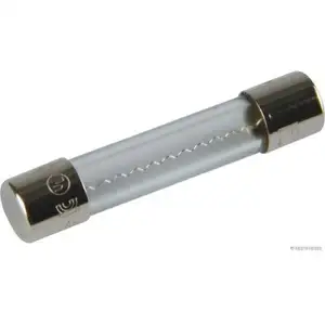 HERTH+BUSS ELPARTS 50295151 Sicherung 10A HERTH+BUSS ELPARTS 50295151 Sicherung 10A