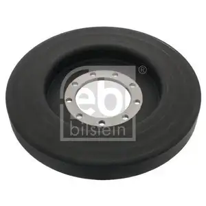 FEBI BILSTEIN 48759 Schwingungsdämpfer für MAN, NEOPLAN FEBI BILSTEIN 48759 Schwingungsdämpfer für MAN, NEOPLAN