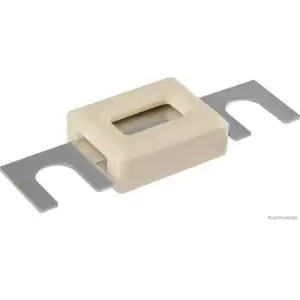 HERTH+BUSS ELPARTS 50295366 Sicherung 100A HERTH+BUSS ELPARTS 50295366 Sicherung 100A